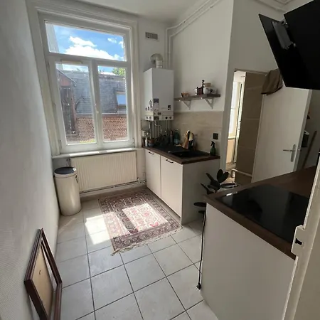 Avec Cachet 45m2, Centre Gambetta 릴